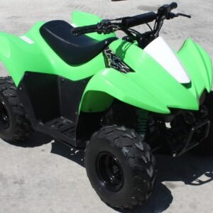 2019 Kawasaki KFX 50